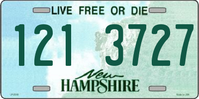 NH license plate 1213727