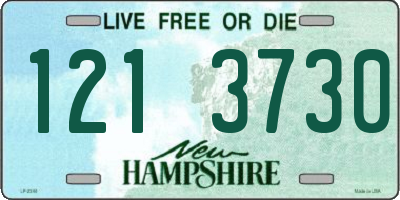 NH license plate 1213730