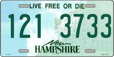NH license plate 1213733