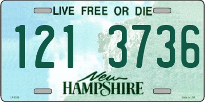 NH license plate 1213736