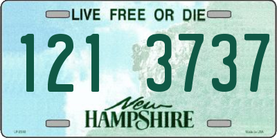 NH license plate 1213737