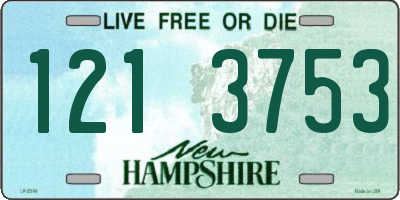 NH license plate 1213753