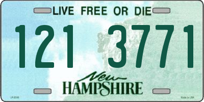 NH license plate 1213771