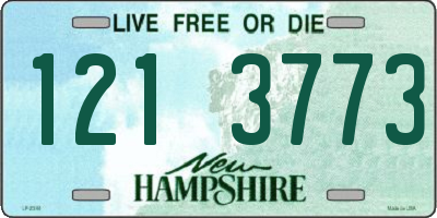 NH license plate 1213773