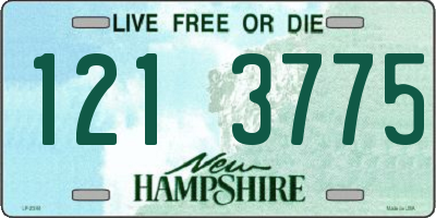 NH license plate 1213775