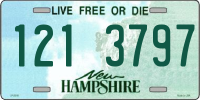 NH license plate 1213797