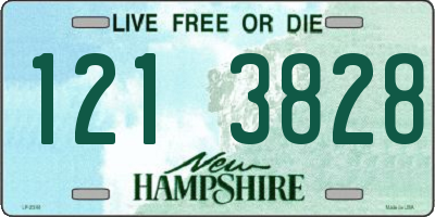 NH license plate 1213828