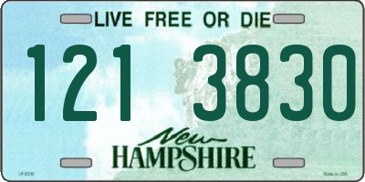 NH license plate 1213830