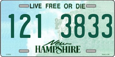 NH license plate 1213833