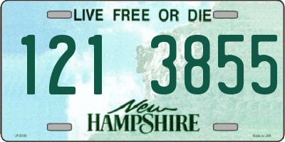 NH license plate 1213855