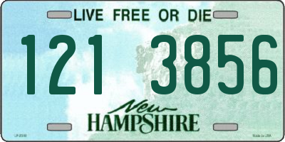 NH license plate 1213856