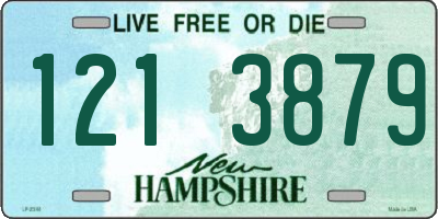 NH license plate 1213879