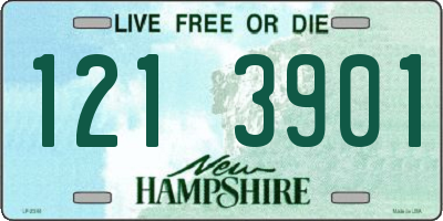 NH license plate 1213901