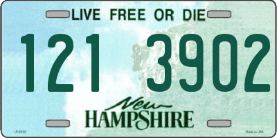 NH license plate 1213902