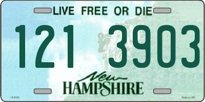 NH license plate 1213903
