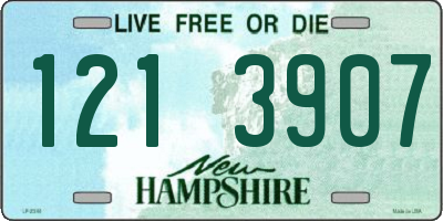 NH license plate 1213907