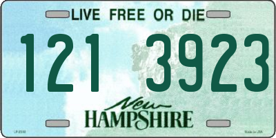 NH license plate 1213923