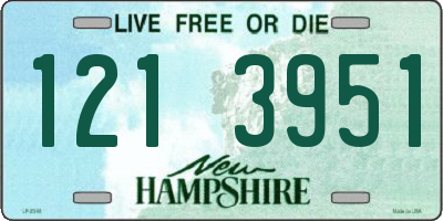 NH license plate 1213951