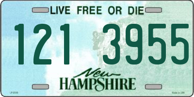 NH license plate 1213955