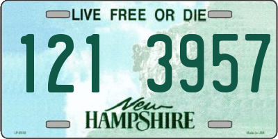 NH license plate 1213957