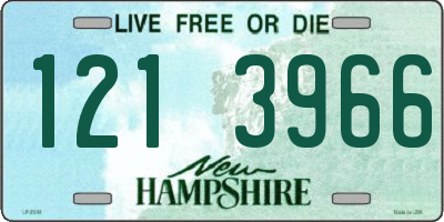 NH license plate 1213966