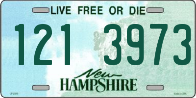 NH license plate 1213973