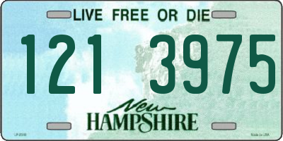 NH license plate 1213975