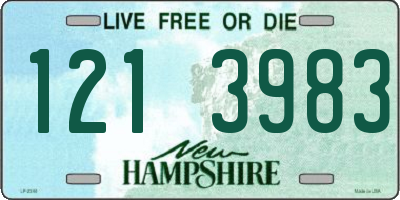 NH license plate 1213983