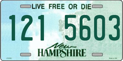 NH license plate 1215603