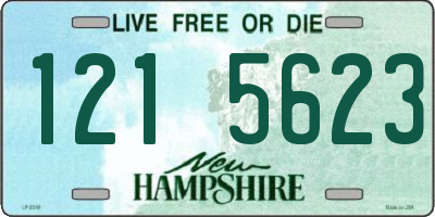 NH license plate 1215623