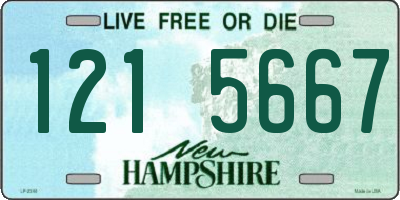 NH license plate 1215667