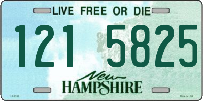 NH license plate 1215825
