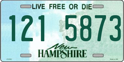 NH license plate 1215873