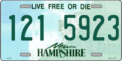 NH license plate 1215923