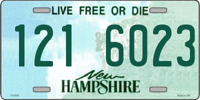 NH license plate 1216023