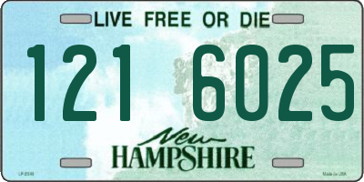 NH license plate 1216025