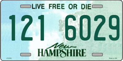 NH license plate 1216029