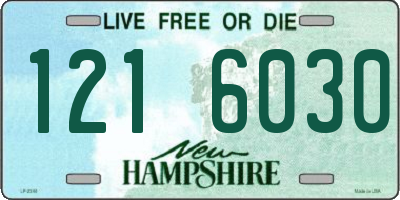 NH license plate 1216030