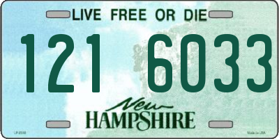 NH license plate 1216033
