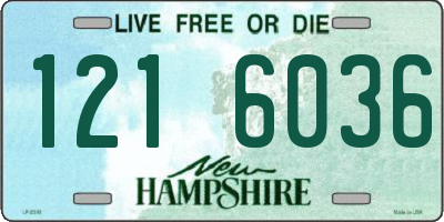 NH license plate 1216036