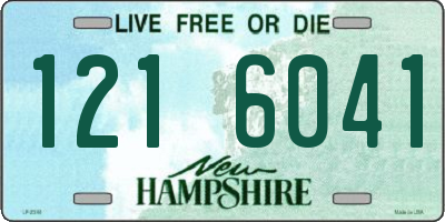 NH license plate 1216041