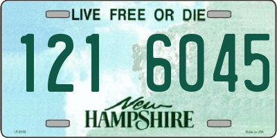 NH license plate 1216045