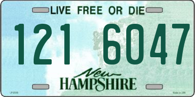 NH license plate 1216047