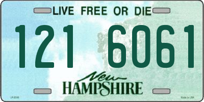NH license plate 1216061