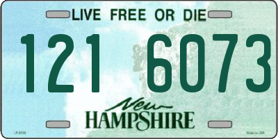 NH license plate 1216073