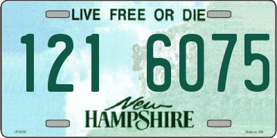 NH license plate 1216075
