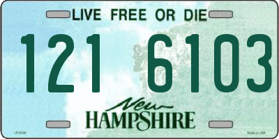 NH license plate 1216103