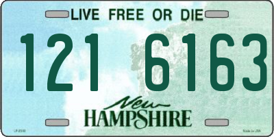 NH license plate 1216163