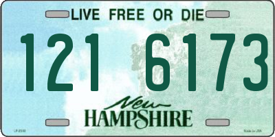 NH license plate 1216173