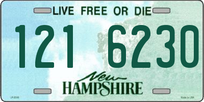 NH license plate 1216230